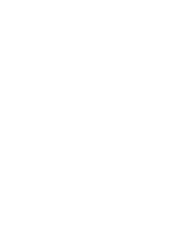 RRSM_ICON_Scooter_White-RGB